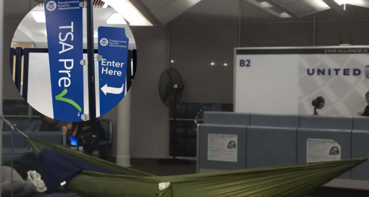 tsa national hammock day