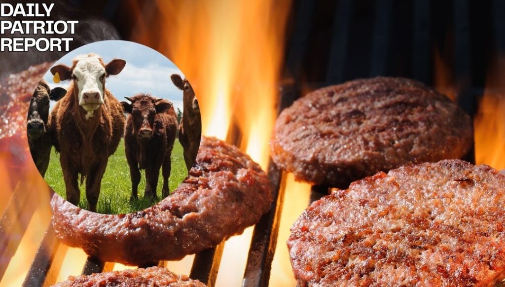 beef cattle shortage