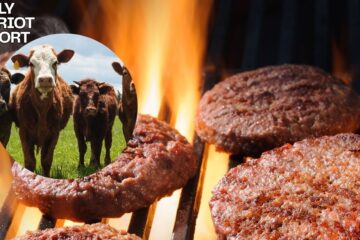 beef cattle shortage