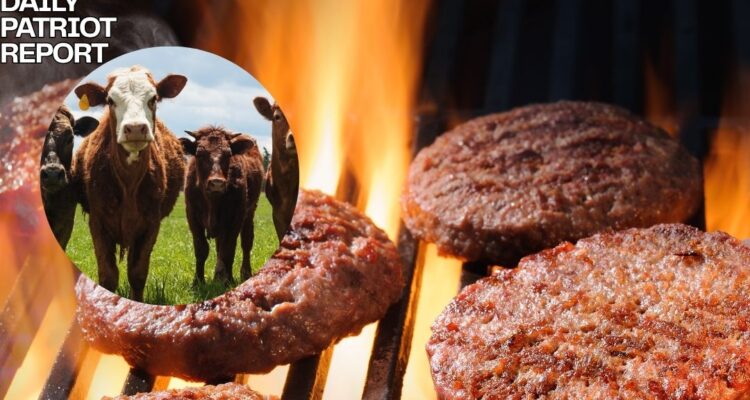 beef cattle shortage