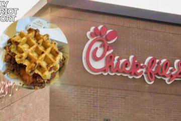 chick-fil-a new chicken and waffles sandwich
