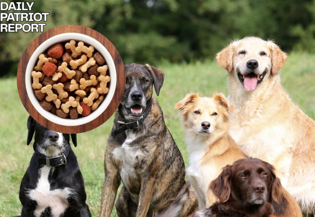 fromm pate dog food recall united states canada